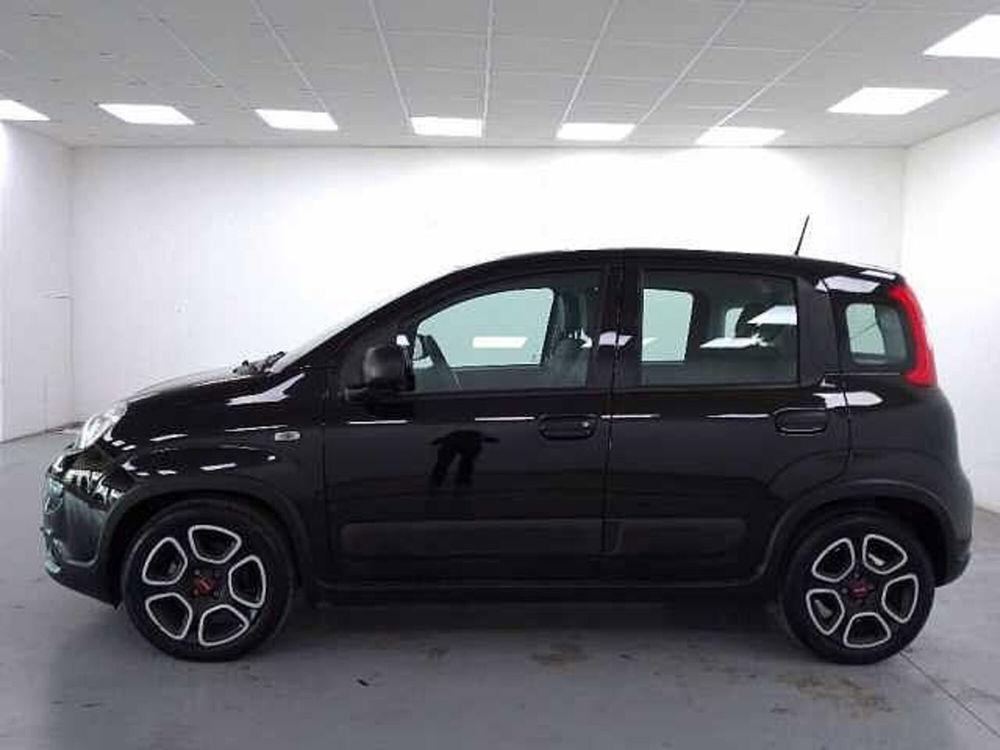 Fiat Panda usata a Cuneo (5)