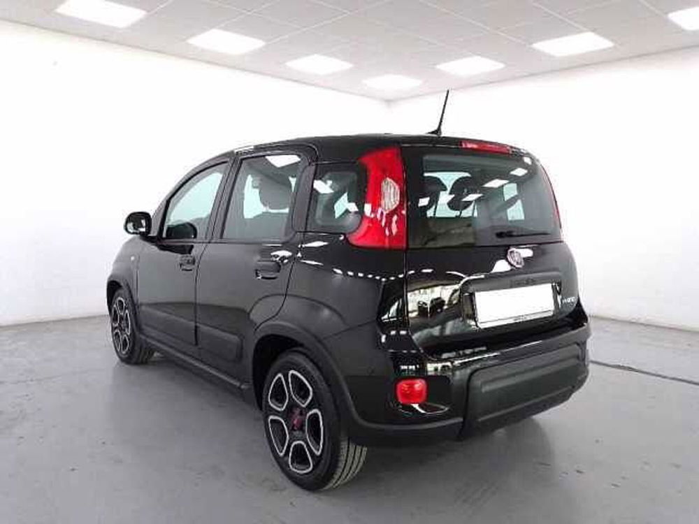 Fiat Panda usata a Cuneo (6)