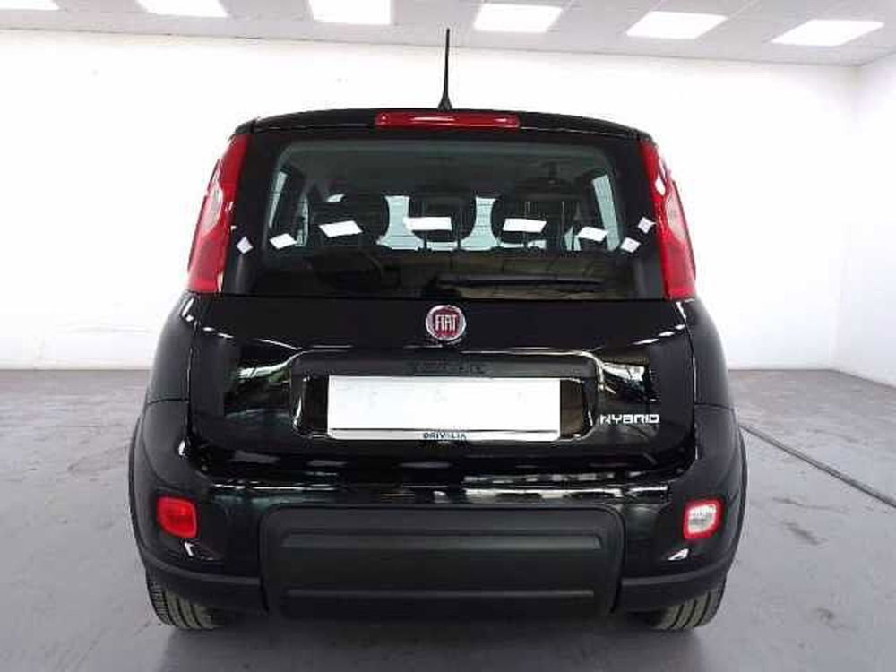 Fiat Panda usata a Cuneo (7)