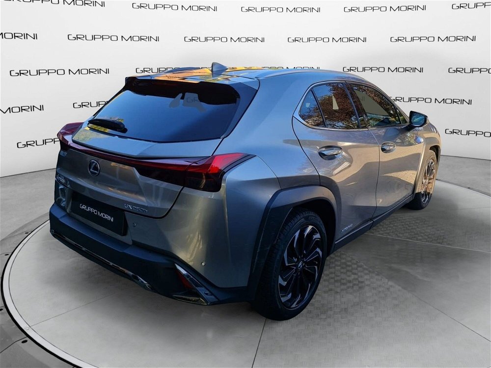 Lexus UX Hybrid 4WD F Sport  del 2020 usata a Imola (3)