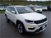 Jeep Compass 1.6 Multijet II 2WD Limited Naked del 2017 usata a Siena (16)