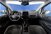 Ford EcoSport 1.0 EcoBoost 125 CV Start&Stop ST-Line  del 2022 usata a Silea (8)