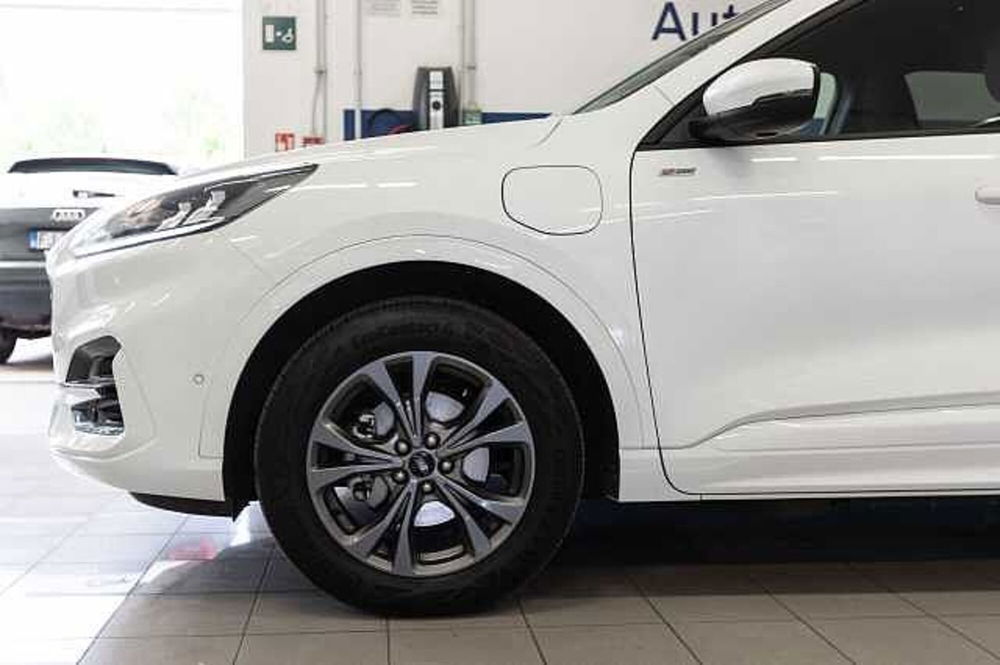 Ford Kuga usata a Treviso (7)