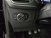 Ford Focus 1.0 EcoBoost 125 CV automatico 5p ST-Line del 2021 usata a Livorno (18)
