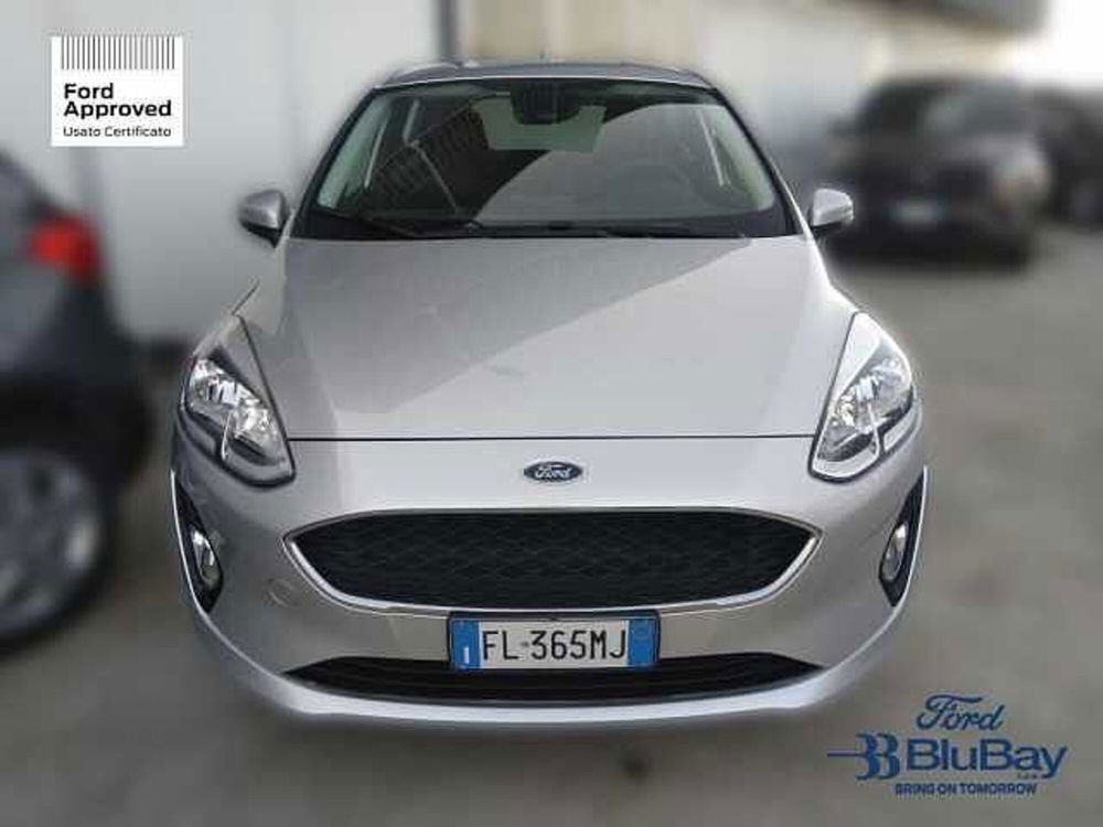 Ford Fiesta usata a Livorno (2)