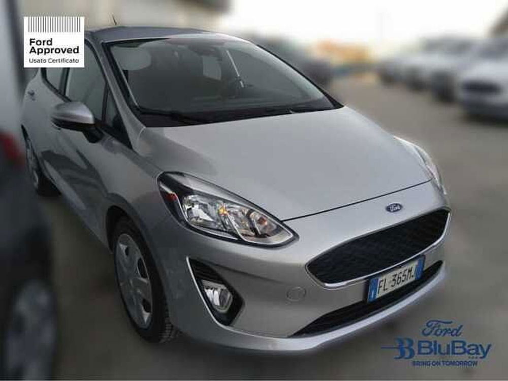 Ford Fiesta usata a Livorno (3)