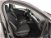 Ford Focus 1.5 EcoBlue 120 CV automatico 5p. Business Co-Pilot  del 2019 usata a Torino (19)