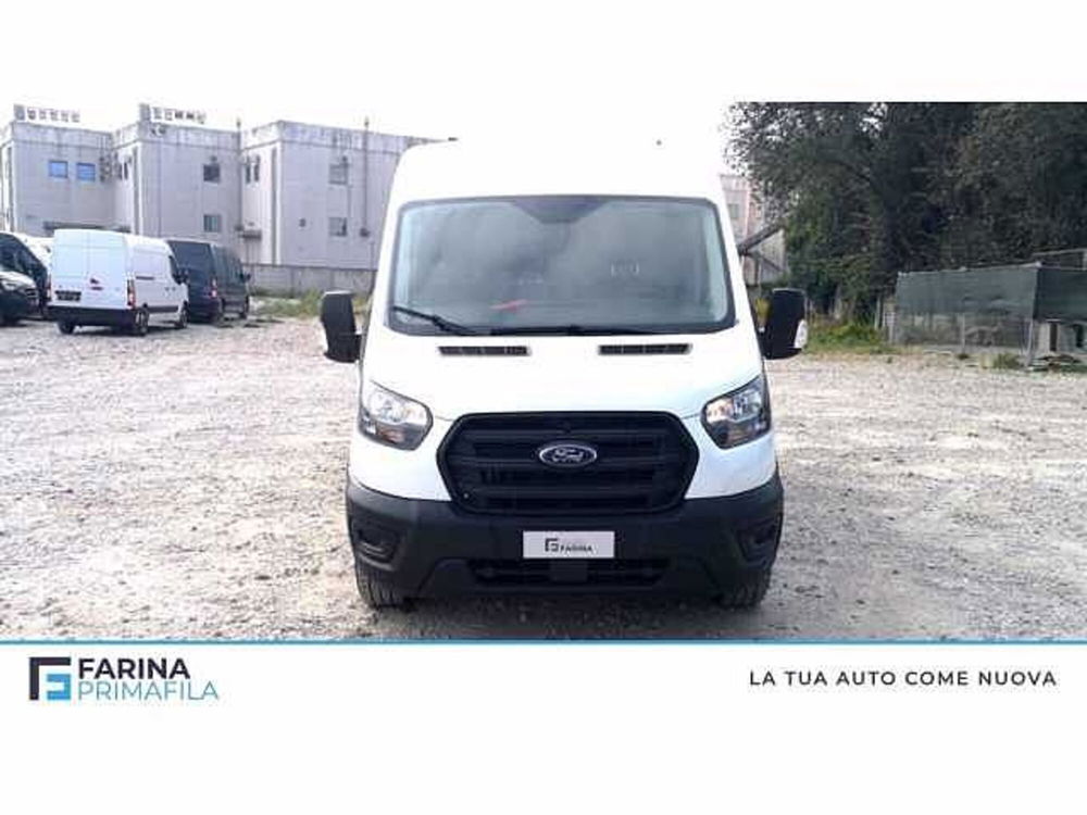 Ford Transit Furgone usata a Napoli (7)