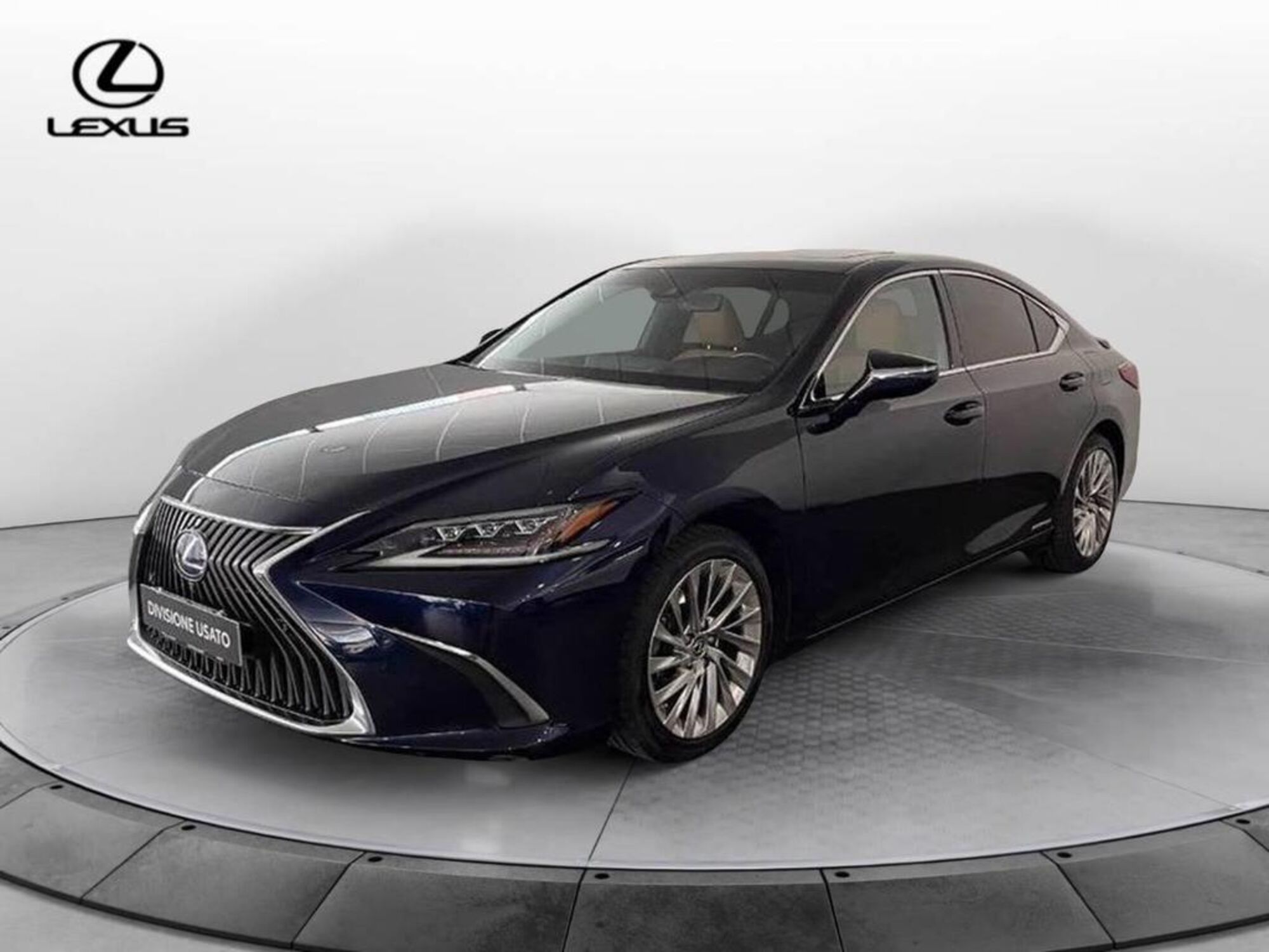 Lexus ES 300h 2.5 Luxury cvt del 2020 usata a Torino