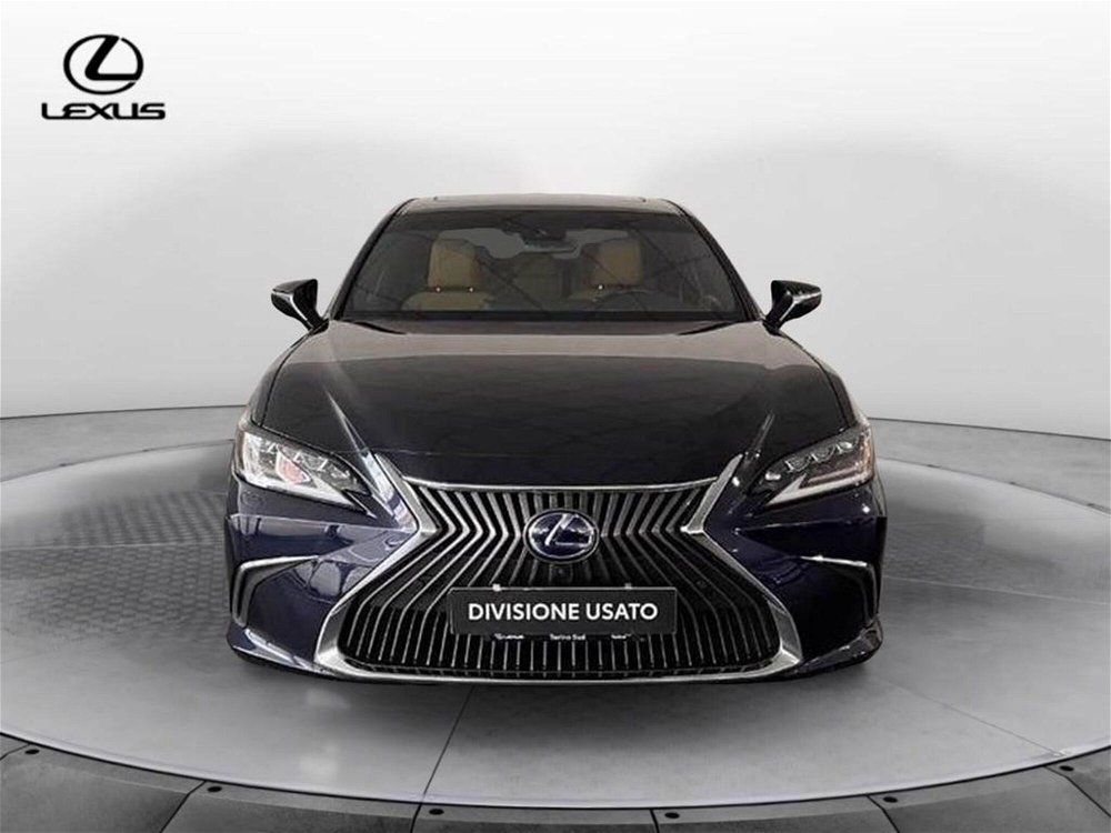 Lexus ES 300h 2.5 Luxury cvt del 2020 usata a Torino (2)