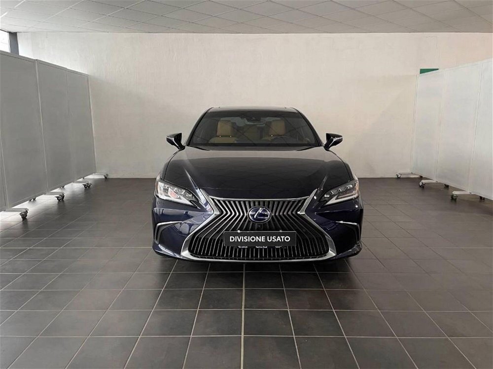 Lexus ES Hybrid Luxury  del 2020 usata a Torino (5)