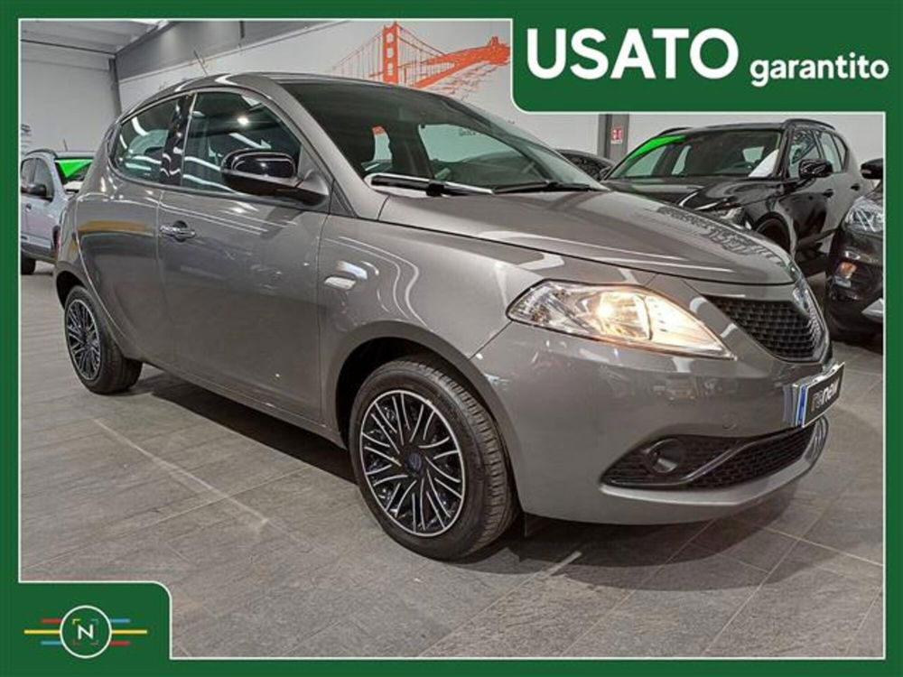 Lancia Ypsilon 1.2 69 CV 5 porte Elefantino Blu  del 2019 usata a Vaiano Cremasco