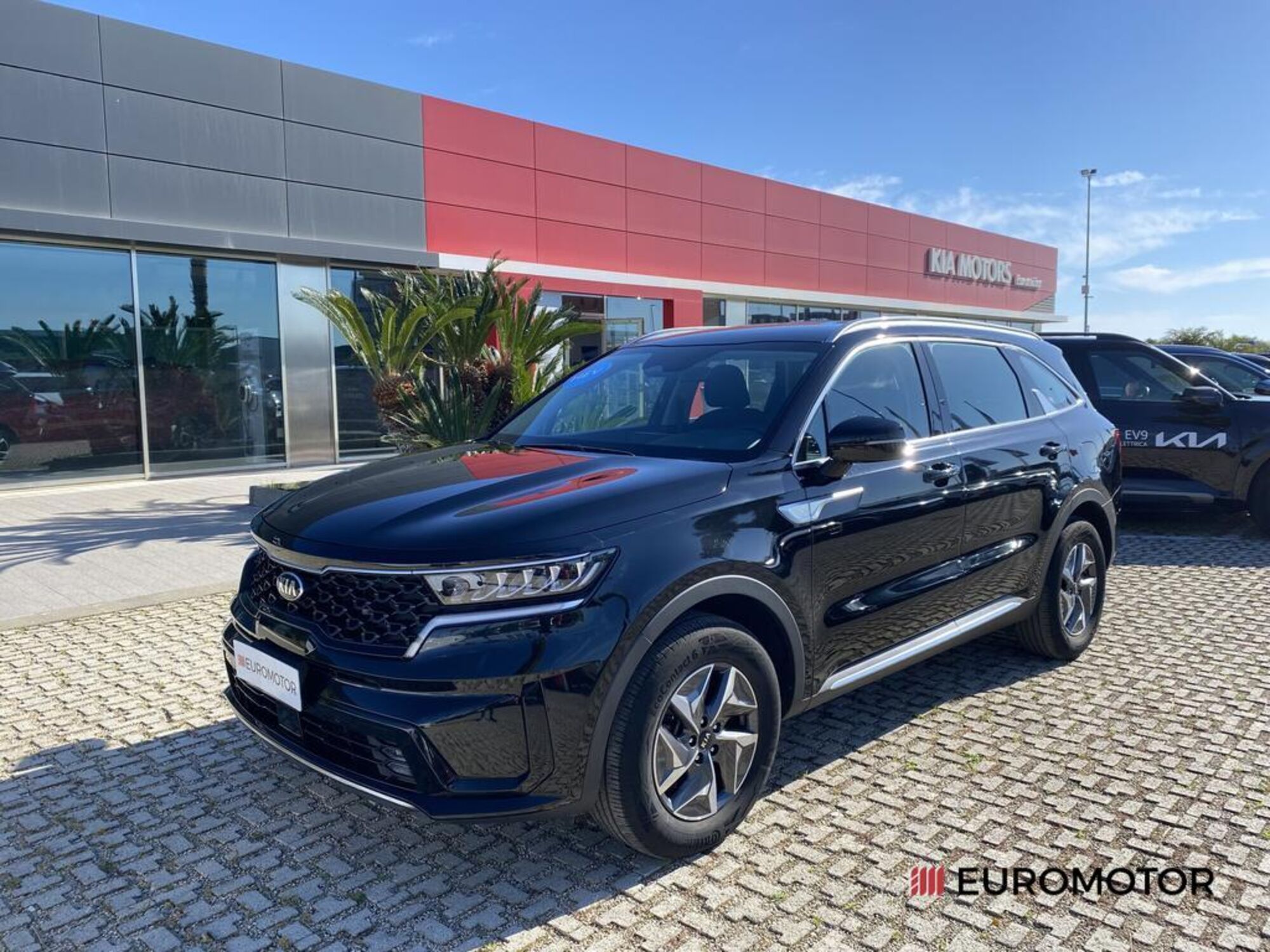 Kia Sorento 1.6 tgdi hev Business 2wd at6 del 2021 usata a Modugno