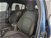 Ford Focus Station Wagon 2.0 EcoBlue 150 CV automatico SW Active V Co-Pilot del 2020 usata a Sala Consilina (11)
