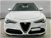 Alfa Romeo Stelvio Stelvio 2.2 Turbodiesel 210 CV AT8 Q4 Executive  del 2019 usata a Sala Consilina (6)