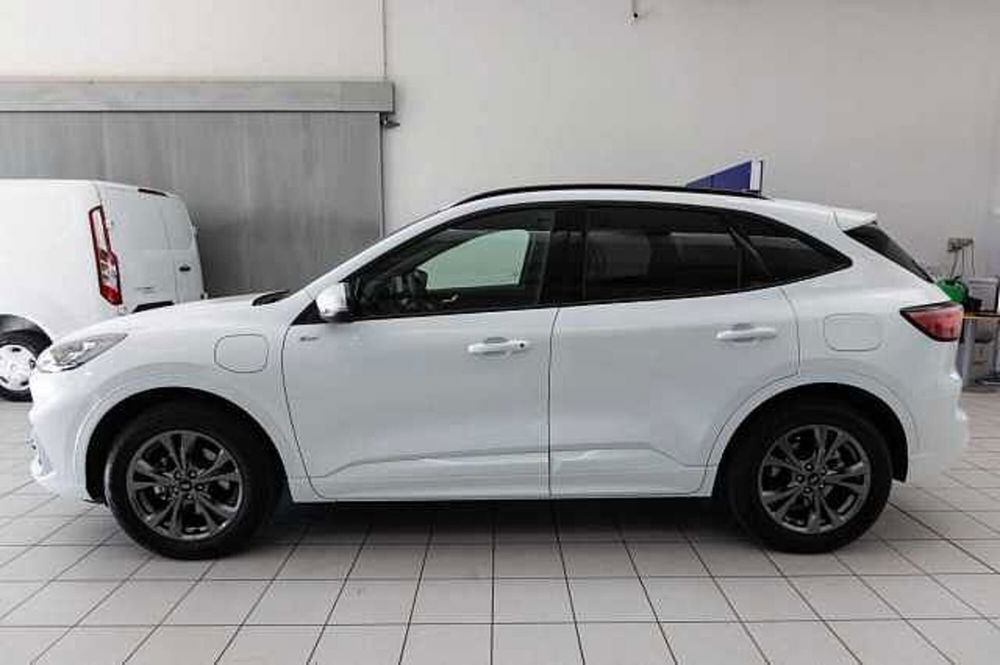 Ford Kuga usata a Treviso (3)