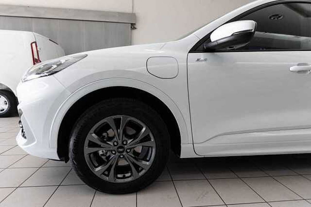 Ford Kuga usata a Treviso (7)