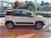 Fiat Panda 1.3 MJT 95 CV S&S 4x4  del 2017 usata a Cortona (9)