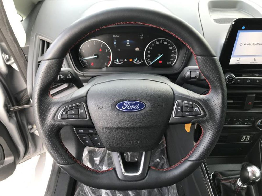 Ford EcoSport usata a Cuneo (12)