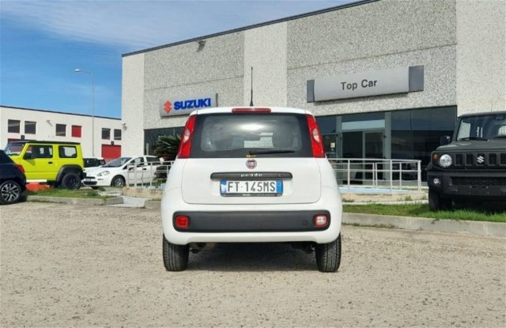Fiat Panda 1.2 Easy Van 4 posti  del 2018 usata a Oristano (4)