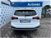 Ford Focus Station Wagon 1.5 EcoBlue 115 CV automatico SW Active  del 2023 usata a Firenze (13)