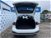 Ford Focus Station Wagon 1.5 EcoBlue 115 CV automatico SW Active  del 2023 usata a Firenze (14)