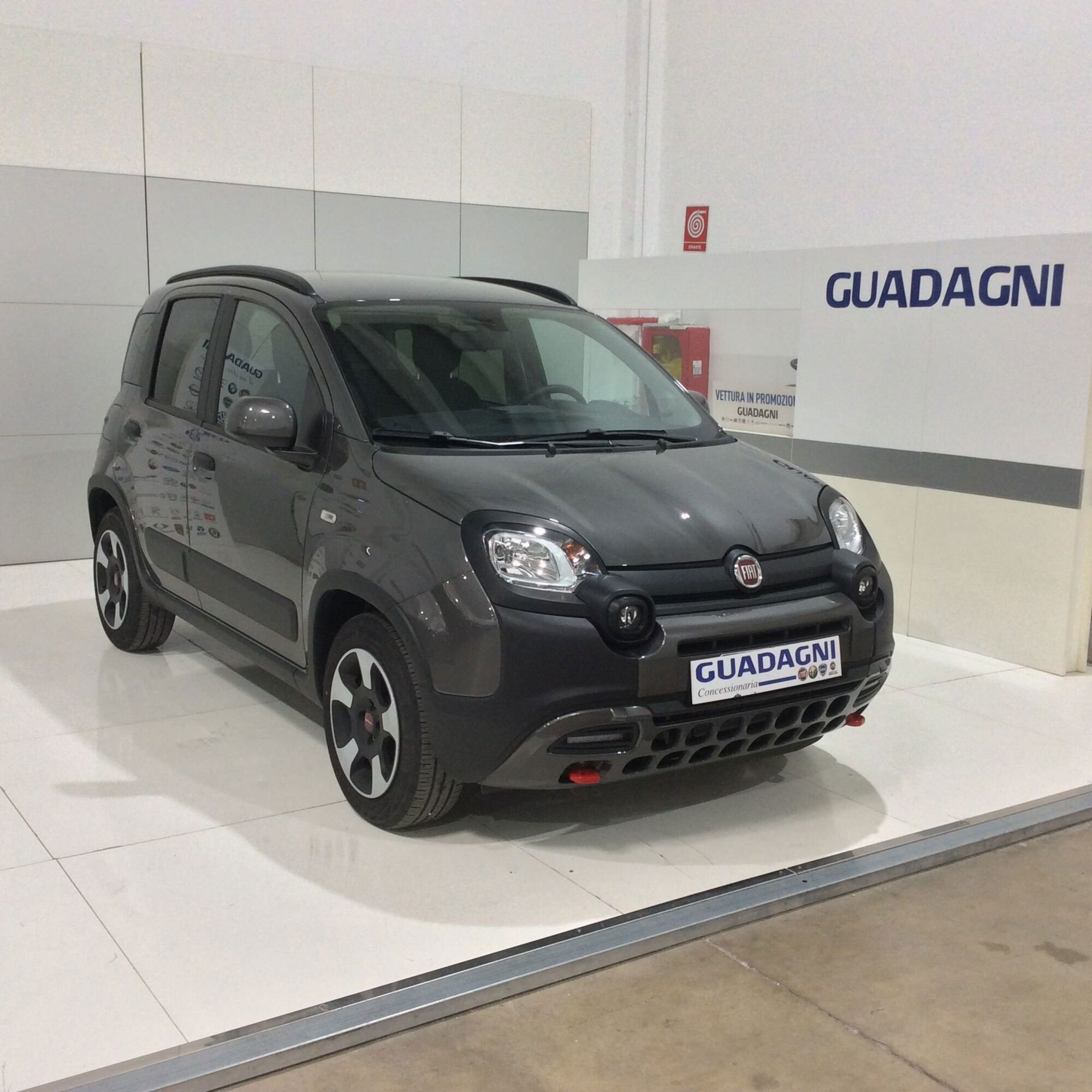 Fiat Panda Cross 1.0 firefly hybrid Cross s&amp;s 70cv 5p.ti del 2023 usata a Caltanissetta