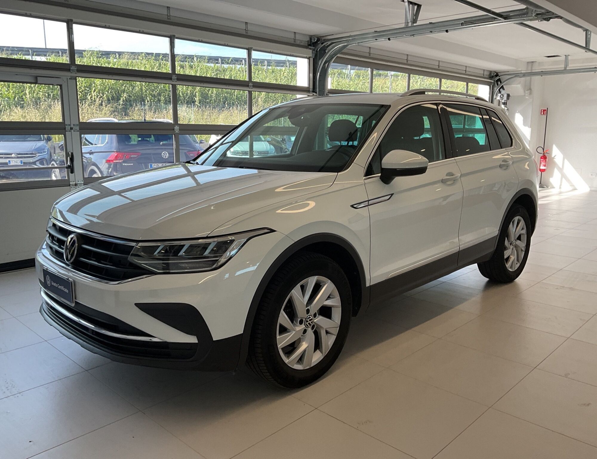 Volkswagen Tiguan 2.0 TDI 150 CV SCR DSG 4MOTION Life del 2021 usata a Salerno