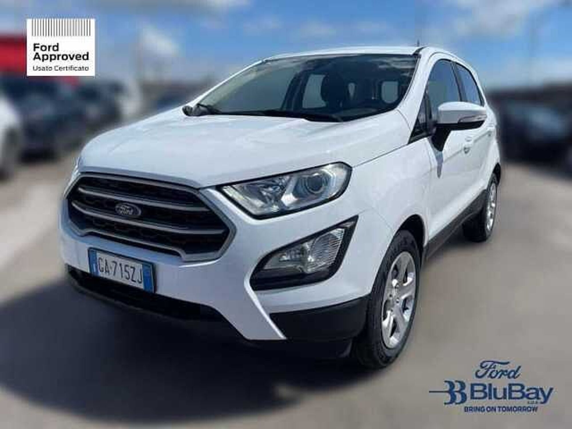 Ford EcoSport 1.0 EcoBoost 100 CV Business  del 2020 usata a Livorno