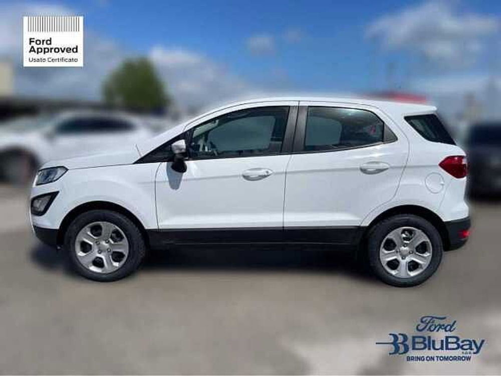 Ford EcoSport usata a Livorno (11)