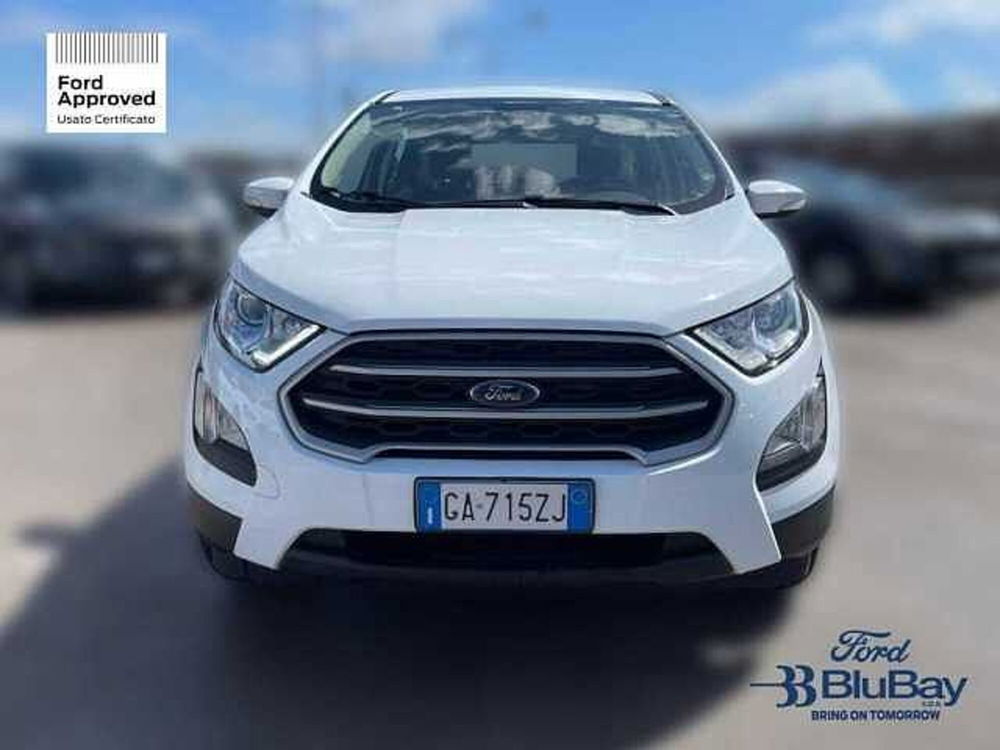 Ford EcoSport usata a Livorno (2)