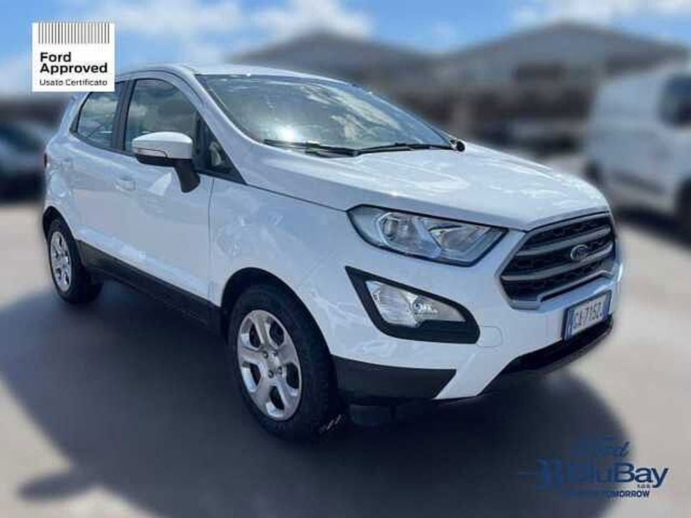 Ford EcoSport usata a Livorno (3)