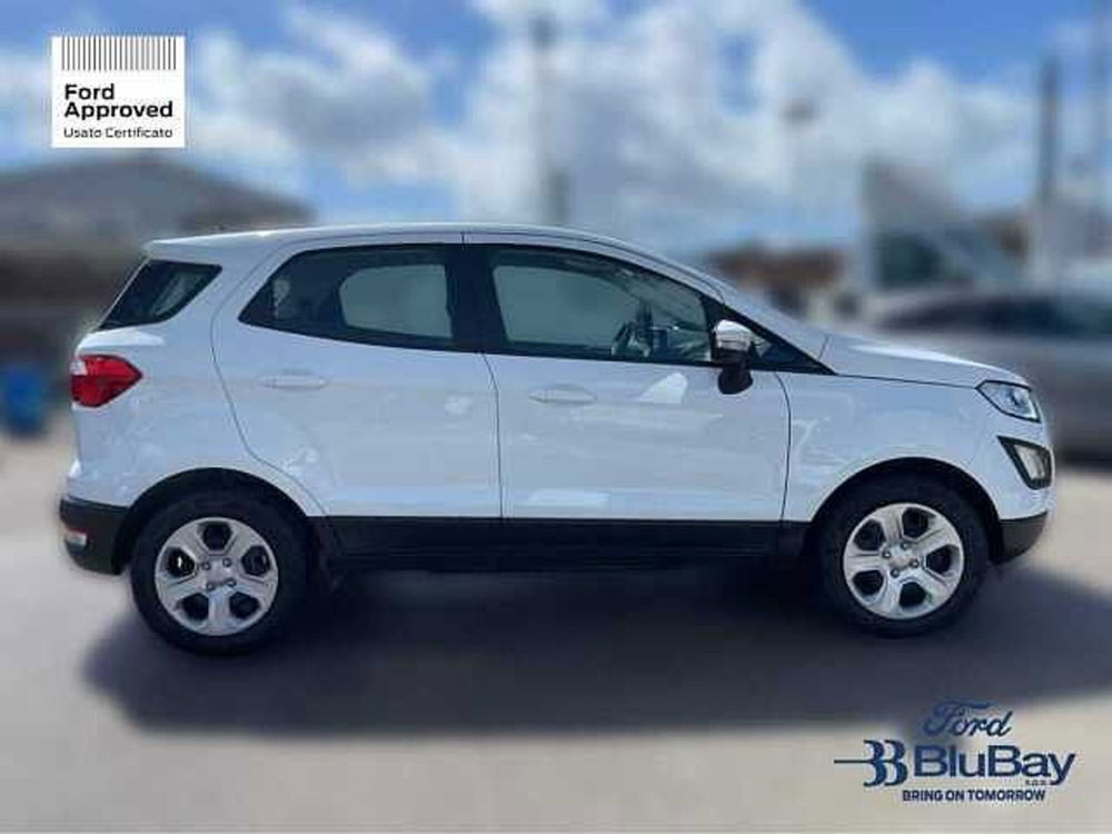 Ford EcoSport usata a Livorno (4)