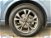 Ford Kuga Kuga 1.5 ecoboost ST-Line 2wd 150cv del 2023 usata a Albano Laziale (13)