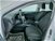 Ford Focus 1.5 EcoBlue 120 CV automatico 5p. Active V Co-Pilot del 2019 usata a Mosciano Sant'Angelo (11)