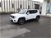Jeep Renegade 1.6 Mjt DDCT 120 CV Longitude  del 2019 usata a Borgo San Lorenzo (8)