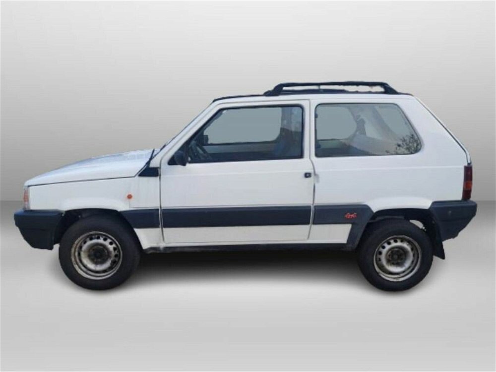 Fiat Panda 1100 i.e. cat 4x4 Trekking  del 2002 usata a Civate (4)