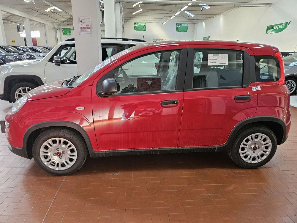 Fiat Panda 1.0 FireFly S&S Hybrid Easy nuova a Altopascio (2)