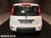 Fiat Panda Cross Cross 1.0 FireFly S&S Hybrid  nuova a Bastia Umbra (6)