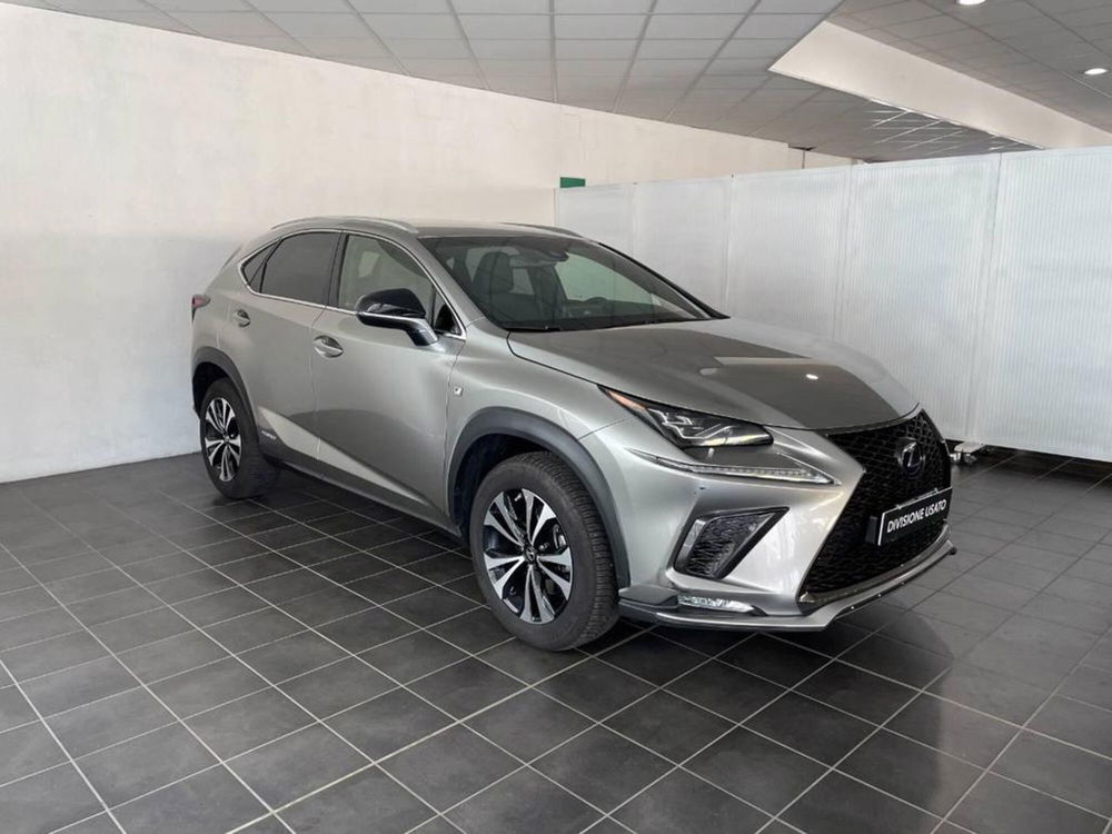 Lexus NX Hybrid 4WD F-Sport  del 2018 usata a Torino (2)