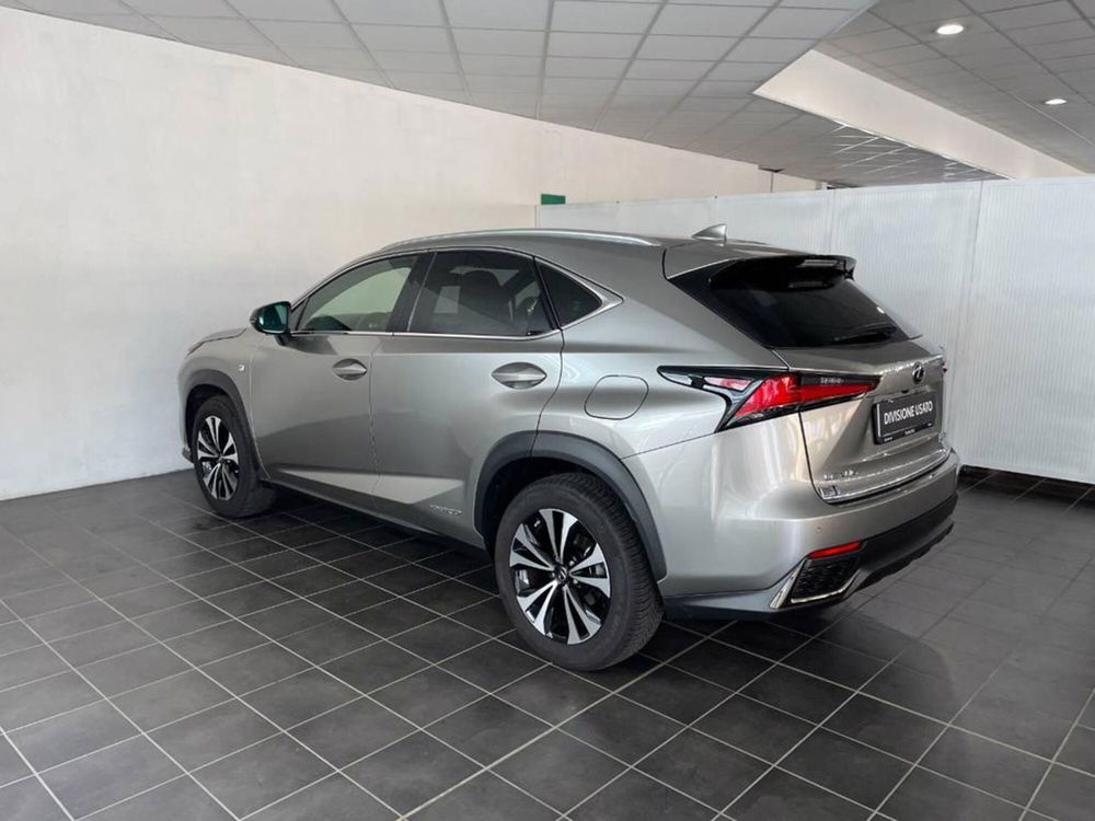 Lexus NX usata a Torino (4)