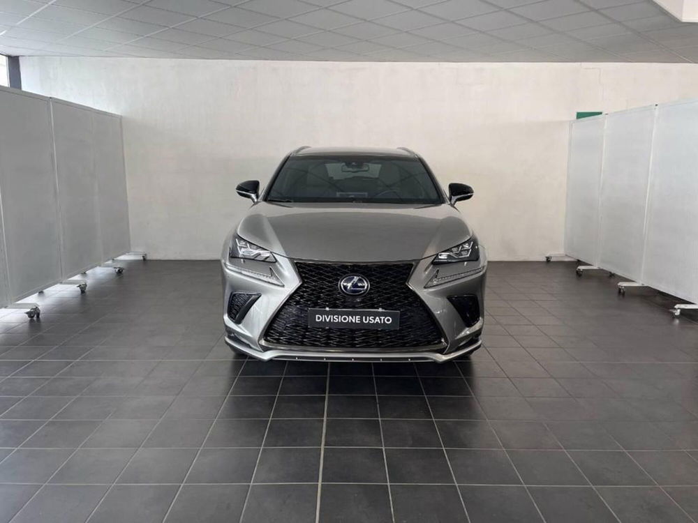 Lexus NX Hybrid 4WD F-Sport  del 2018 usata a Torino (5)