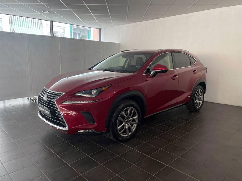 Lexus NX Hybrid 4WD Executive  del 2018 usata a Torino