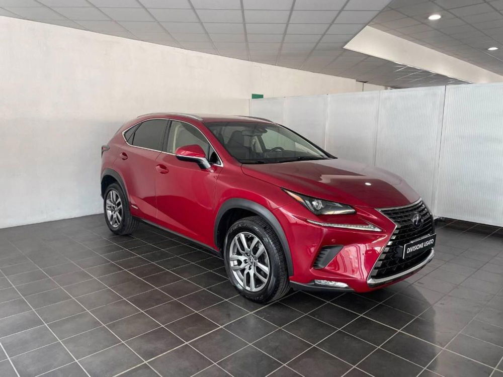 Lexus NX usata a Torino (4)