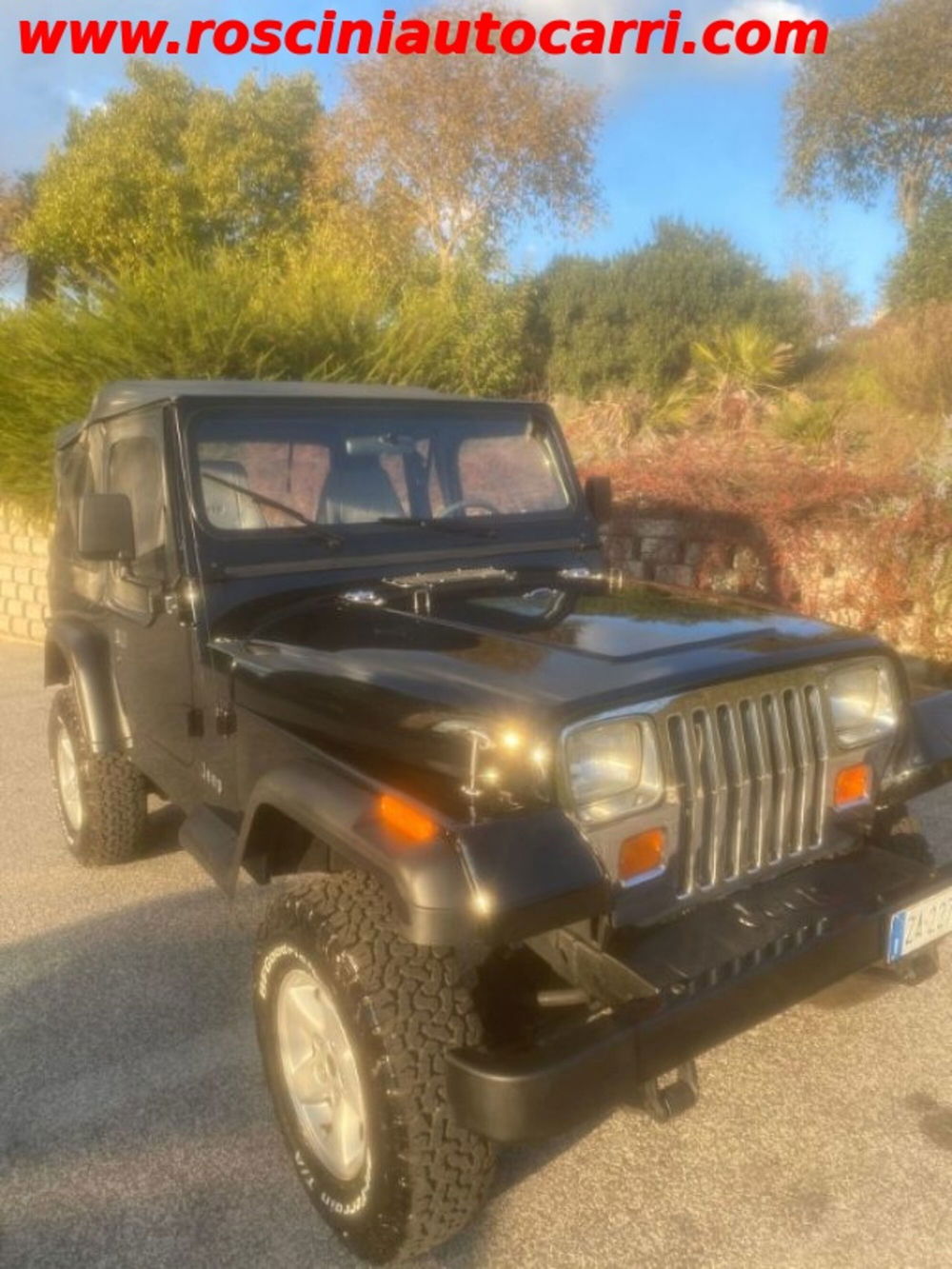 Jeep Wrangler 2.5 cat Soft top (EU)  del 1993 usata a Roma (3)