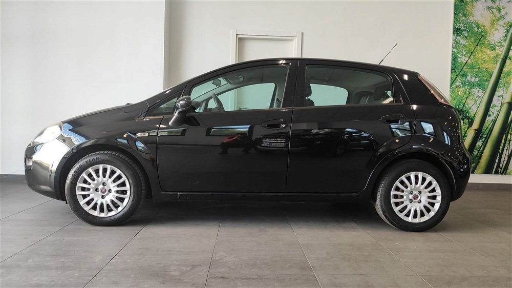 Fiat Punto 1.3 MJT II 75 CV 5 porte Street  del 2014 usata a Empoli (3)