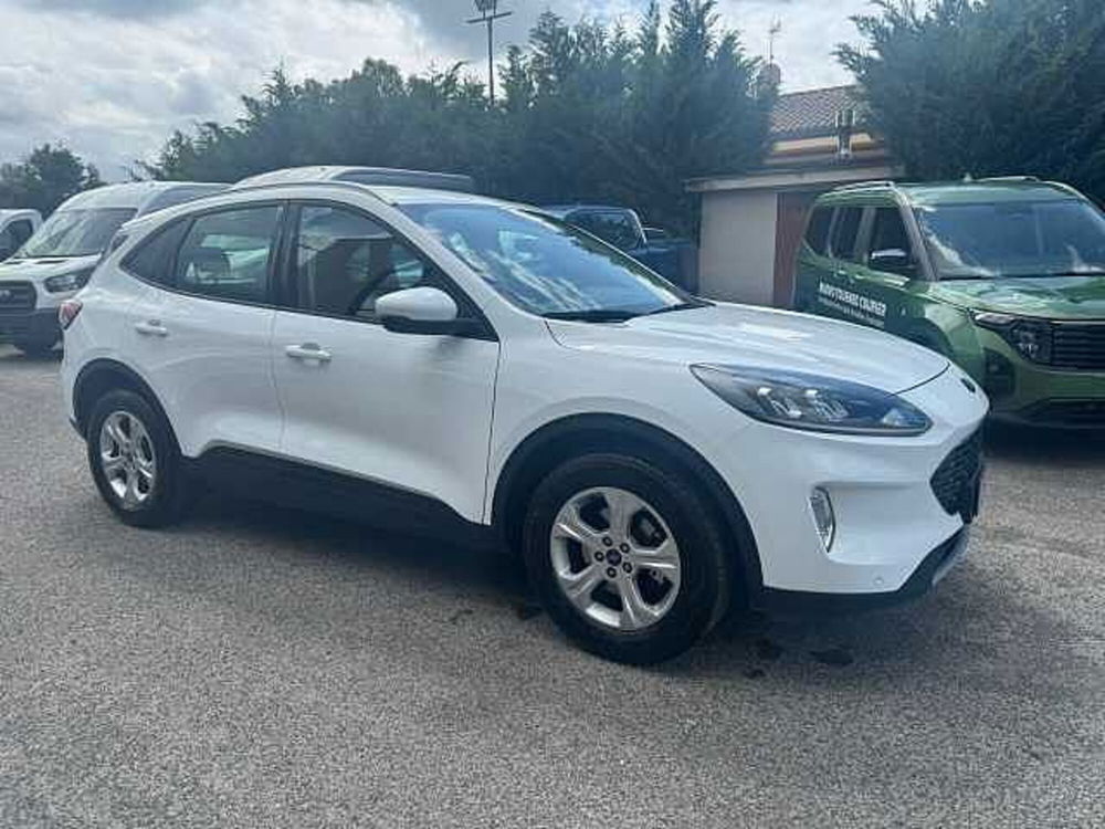 Ford Kuga usata a Latina (2)