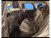 Ford Focus Station Wagon 1.5 TDCi 120 CV Start&Stop SW Titanium del 2017 usata a Bari (9)