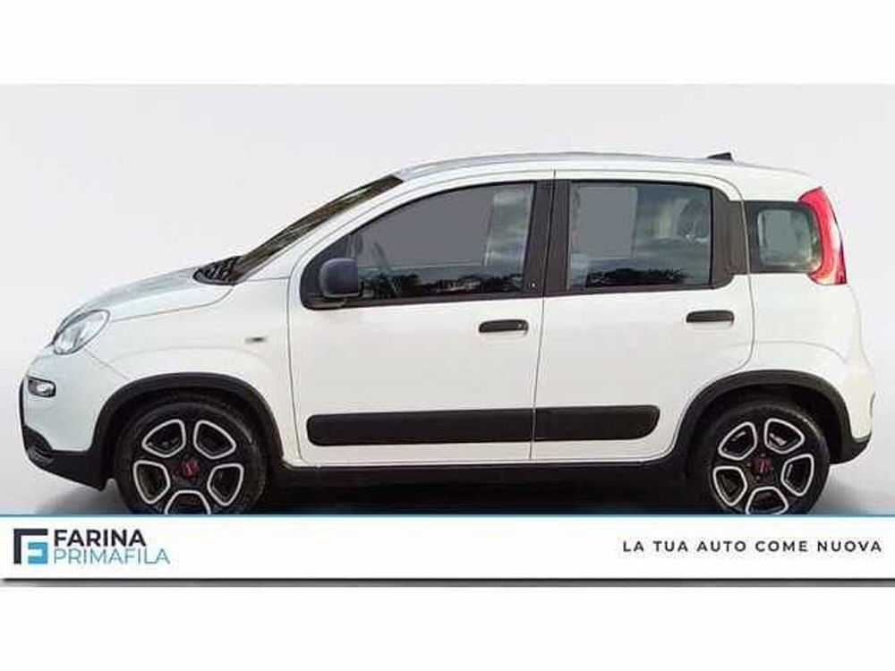 Fiat Panda usata a Napoli (2)