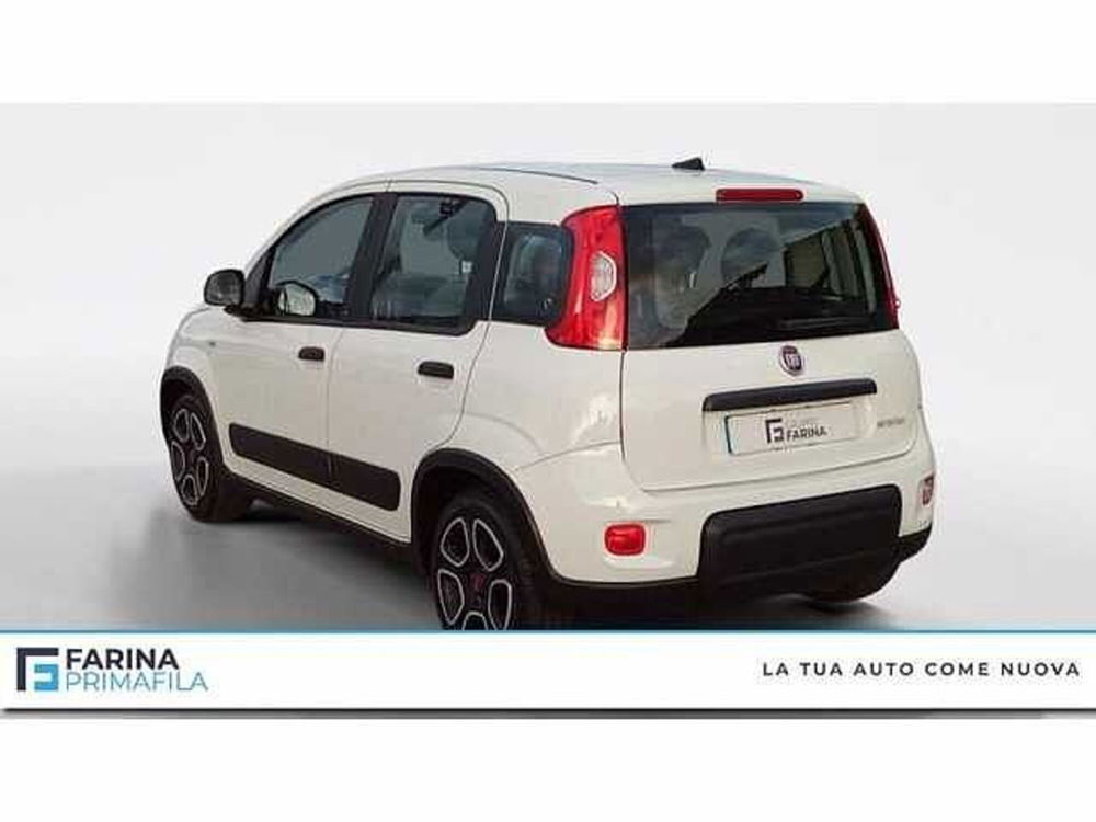 Fiat Panda usata a Napoli (3)